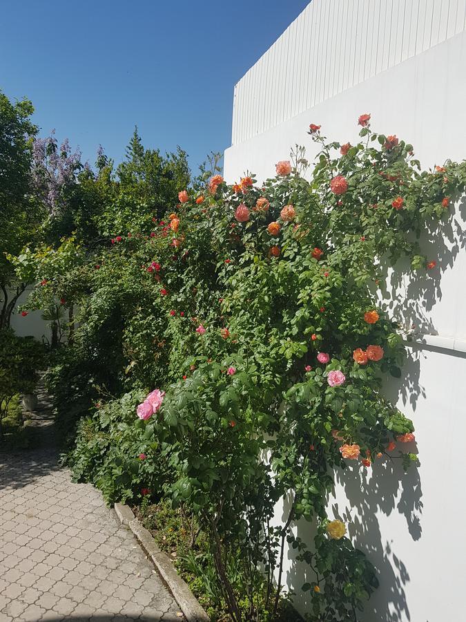 Hotel Badagi Тбілісі Екстер'єр фото
